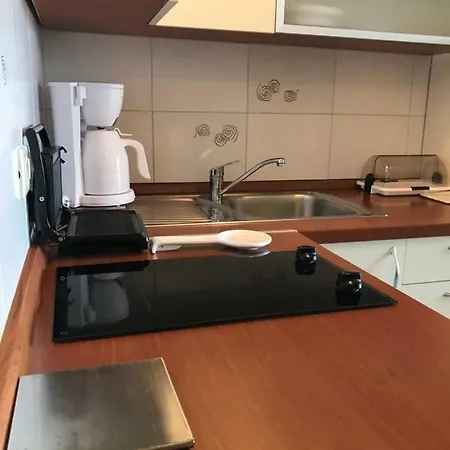Apartment Lorenzo Umag